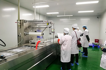 食品工廠設(shè)計(jì)之氣力輸送的速度